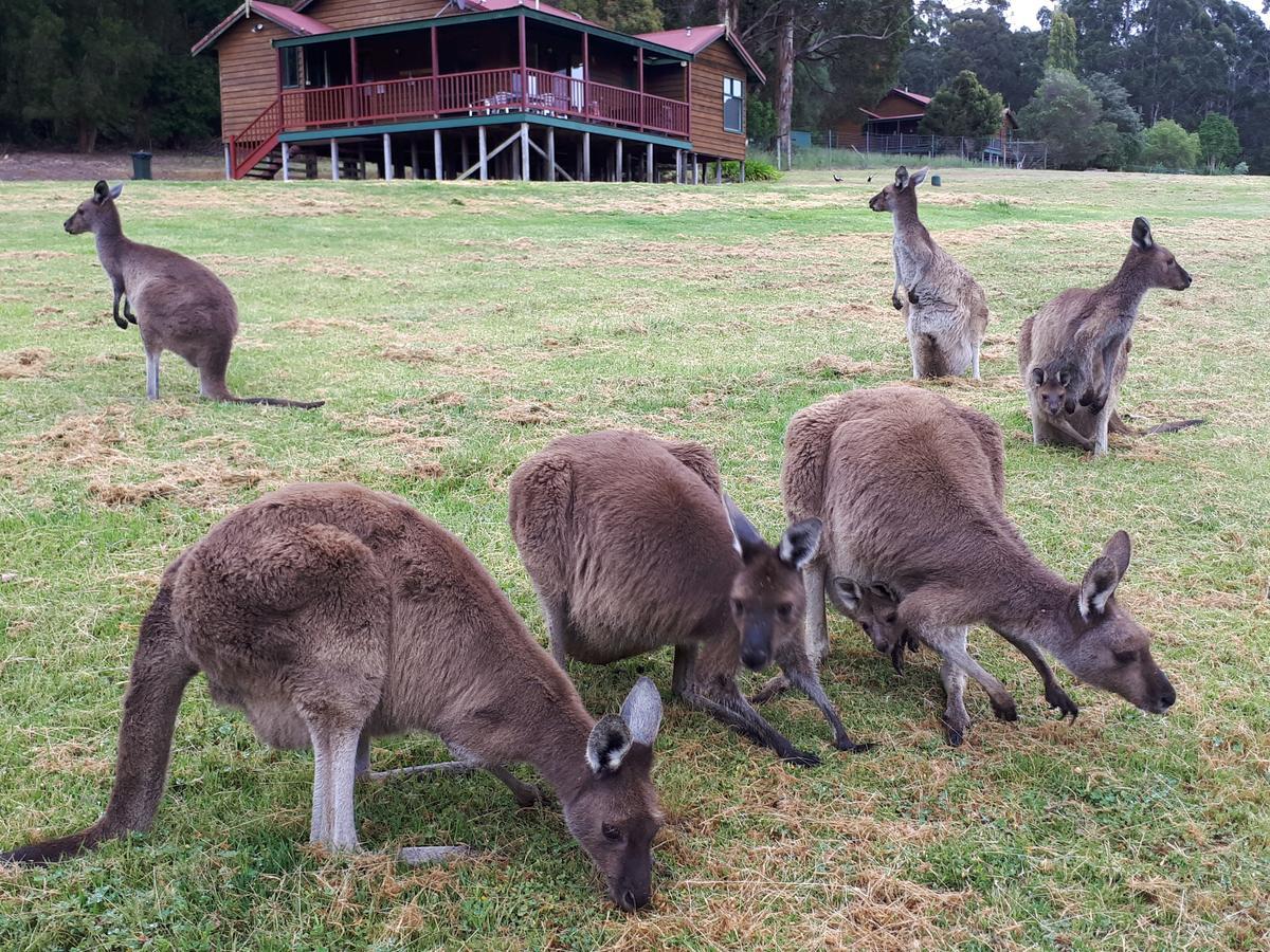 Walpole Wilderness Resort エクステリア 写真